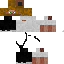 Texture for Hilbert04