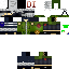 Texture for HATAKEKAKASHI