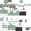 Texture for sapinho