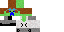 Texture for Creeper