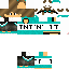 Texture for Skwipy