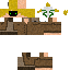 Texture for dm2