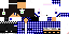 Texture for 321