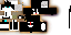 Texture for Leo
