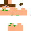 Texture for zephyrus 123