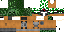 Texture for SanyaCool