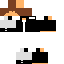 Texture for gui2