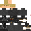 Texture for NAPLIS PYM