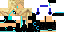 Texture for Pleer