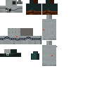 Texture for illager