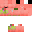 Texture for TEMPLATE STEVE