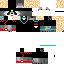 Texture for mapache k