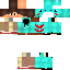Texture for GO-TRIX