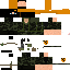Texture for FMSI