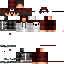 Texture for Steve