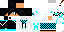 Texture for max