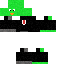 Texture for parrot