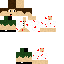 Texture for steve3