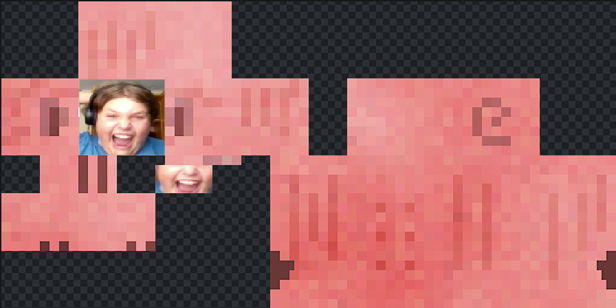 Texture for pigus