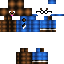 Texture for Zizi Coptere