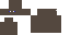 Texture for tortoise body