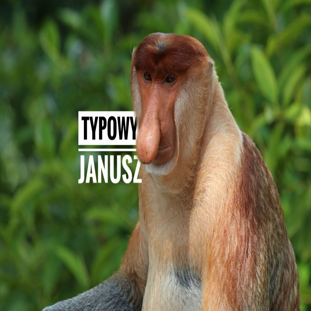 Texture for janusz emerald
