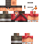 Texture for Scout