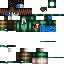 Texture for SDFSD