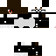 Texture for Bear