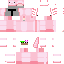 Texture for Mandalorian axolotl