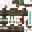 Texture for shot in head