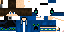 Texture for steve