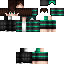Texture for Steve