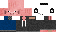 Texture for Pig Player