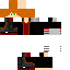 Texture for Selesior
