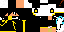 Texture for ds