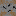 Texture for 1221