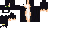 Texture for New Cat