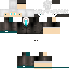 Texture for bob_pvs