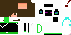 Texture for Enderman