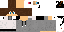 Texture for SambaS2