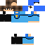 Texture for ThunderShark
