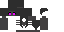 Texture for ender skeleton