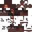 Texture for ReaganIlrea2