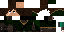 Texture for Scout