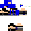 Texture for JulesRad