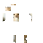 Texture for p
