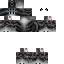 Texture for gato