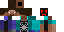 Texture for PREM