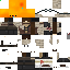 Texture for SURVIVOR